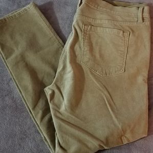 LOFT Khaki Corduroys Modern Skinny 14P